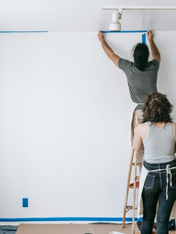 pexels-blue-bird-7217986 pexels-blue-bird-7217986