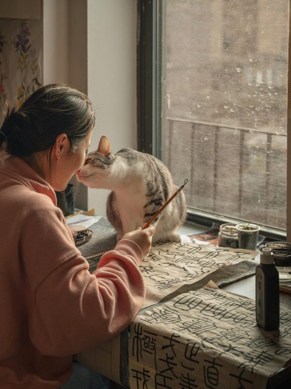 pexels-jesserphotonyc-30913848 pexels-jesserphotonyc-30913848