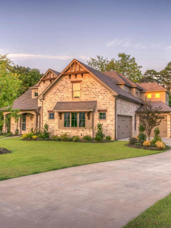 pexels-pixabay-259588 pexels-pixabay-259588